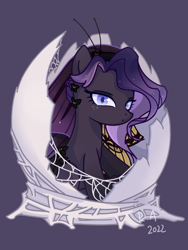 Size: 3000x4000 | Tagged: safe, artist:raineve, oc, oc only, pony, looking at you, sitting, solo, spider web