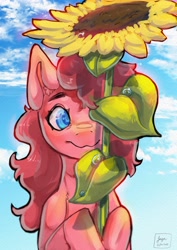 Size: 2894x4093 | Tagged: safe, artist:jaynsparkle, pinkie pie, earth pony, pony, g4, bust, flower, solo, sunflower