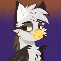 Size: 940x940 | Tagged: safe, artist:modularpon, oc, oc only, oc:ospreay, griffon, animated, bust, commission, eyebrows, gradient background, griffon oc, headshot commission, portrait, smug, solo