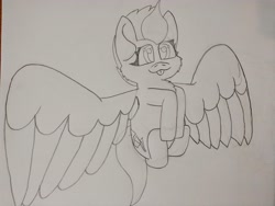 Size: 4192x3144 | Tagged: safe, artist:acid flask, zipp storm, pegasus, pony, g5, 2d, :p, cheek fluff, chest fluff, cute, fetal position, fluffy, flying, graphite drawing, happy, hooves, hooves together, large wings, looking at you, smiling, smiling at you, smol, tongue out, traditional art, wings