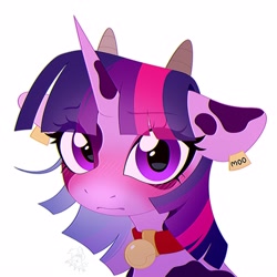 Size: 3000x3000 | Tagged: safe, artist:rtootb, twilight sparkle, cow, pony, unicorn, bell, bell collar, blushing, bust, closed mouth, collar, cowprint, cute, digital art, ears, embarrassed, female, horns, looking at you, mare, moo, no shading, portrait, purple eyes, simple background, solo