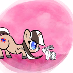 Size: 2048x2048 | Tagged: safe, artist:boneappleteeth, oc, oc only, oc:norsk fjord, pony, rabbit, unicorn, animal, high res, horn, norway, norwegian, pink background, simple background, solo, unicorn oc