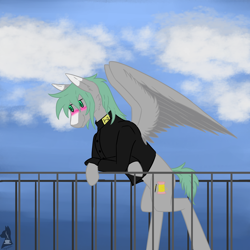 Size: 2600x2600 | Tagged: safe, oc, pegasus, pony, high res, solo