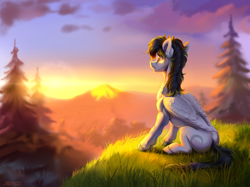 Size: 4000x2985 | Tagged: safe, artist:mithriss, oc, oc only, pegasus, pony, concave belly, female, folded wings, lighting, mare, open mouth, outdoors, scenery, sitting, solo, sternocleidomastoid, sunset, tree, wings
