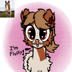 Size: 1000x1000 | Tagged: safe, artist:scandianon, earth pony, pony, g4, facial hair, female, fluffy, looking at you, mare, moustache, open mouth, ponified, ponified animal photo, ponified horse, solo, talking to viewer