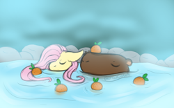 Size: 800x500 | Tagged: safe, artist:diurnalcritters, fluttershy, capybara, pegasus, pony, g4, eyes closed, female, floppy ears, food, hot springs, mare, orange, partially submerged, solo