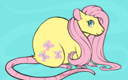 Size: 800x500 | Tagged: safe, artist:diurnalcritters, fluttershy, rat, g4, cute, female, flutterrat, looking at you, ratified, shyabetes, smiling, smiling at you, solo, species swap