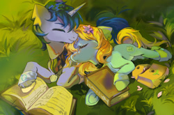 Size: 1916x1266 | Tagged: artist needed, source needed, safe, oc, oc only, oc:sky sprout, earth pony, pony, unicorn, book, duo, eyes closed, flower, flower in hair, lying down, outdoors, underhoof