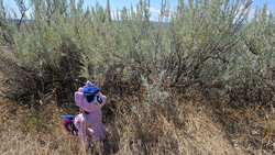 Size: 1200x676 | Tagged: safe, artist:sepiakeys, twilight sparkle, pony, g4, irl, photo, plushie, solo