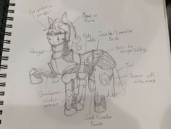 Size: 705x529 | Tagged: safe, artist:autumn sushi, oc, oc only, oc:quickdraw, earth pony, pony, armor, chainmail, clothes, concept art, curly mane, curly tail, cutie mark on clothes, pencil drawing, photo, plate armor, plume, reference sheet, saddle, sketch, solo, standing, tack, tail, traditional art