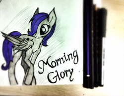 Size: 960x740 | Tagged: safe, artist:hysteriana, oc, oc:morning glory, oc:morning glory (project horizons), pegasus, pony, fallout equestria, fallout equestria: project horizons, fallout, fanfic, fanfic art, folded wings, old art, pegasus oc, traditional art, wings