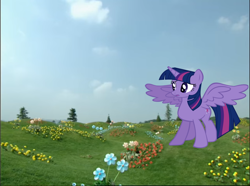 Size: 966x719 | Tagged: safe, artist:chrisgotjar, twilight sparkle, alicorn, pony, g4, confused, dialogue in the description, female, mare, solo, spread wings, teletubbies, teletubbyland, twilight sparkle (alicorn), wings