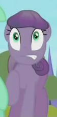 Size: 112x228 | Tagged: safe, screencap, grape gem, crystal pony, earth pony, pony, g4, the crystal empire, female, mare, shocked