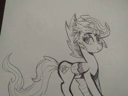 Size: 1024x768 | Tagged: safe, artist:trainerrichie, scootaloo, pegasus, pony, g4, alternate hairstyle, alternate tailstyle, eyeshadow, female, headcanon, headcanon in the description, makeup, older, smiling, solo, tail, traditional art