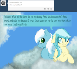 Size: 900x803 | Tagged: safe, artist:ask-mistypony, fleetfoot, misty fly, pegasus, pony, g4, cloud, duo, female, mare, on a cloud