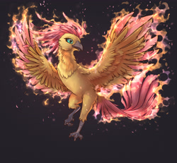 Size: 3552x3288 | Tagged: safe, alternate version, artist:kirby_orange, derpibooru exclusive, fluttershy, phoenix, collaboration:bestiary of fluttershy, g4, chest fluff, collaboration, cute, female, fire, flying, high res, running, simple background, solo, species swap, spread wings, wings
