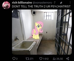 Size: 1080x884 | Tagged: safe, fluttershy, pegasus, pony, g4, female, irl, mare, meme, meta, photo, ponies in real life, prison cell, twitter