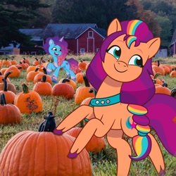 Size: 1080x1080 | Tagged: safe, misty brightdawn, sunny starscout, earth pony, pony, unicorn, g5, my little pony: tell your tale, official, autumn, cute, duo, duo female, female, irl, mane stripe sunny, mare, mistybetes, open mouth, open smile, photo, ponies in real life, pumpkin, pumpkin patch, rebirth misty, smiling, sunnybetes