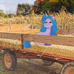 Size: 1080x1080 | Tagged: safe, izzy moonbow, pony, unicorn, g5, my little pony: tell your tale, official, autumn, cute, hay, irl, izzybetes, looking at you, photo, ponies in real life, smiling, smiling at you, solo, trailer