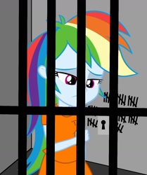 Size: 1213x1448 | Tagged: safe, rainbow dash, human, equestria girls, g4, clothes, defeat, defeated, failed, failure, jail, jail cell, prison, prison cell, prison outfit, prisoner, prisoner rd, sad, tally marks
