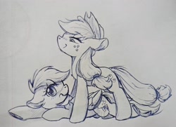 Size: 3029x2189 | Tagged: safe, artist:twiliset, applejack, rainbow dash, earth pony, pegasus, pony, g4, female, high res, lesbian, lying down, pen drawing, ship:appledash, shipping, shy, simple background, sketch, smiling, traditional art