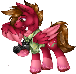 Size: 2055x2012 | Tagged: safe, artist:chvrchgrim, oc, oc only, oc:grand finale, pegasus, pony, blaze (coat marking), brown mane, camera, clothes, coat markings, colored wings, facial markings, gift art, hawaiian shirt, high res, male, shirt, simple background, socks (coat markings), solo, stallion, transparent background, two toned wings, unshorn fetlocks, wing hands, wings