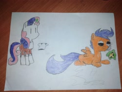 Size: 4160x3120 | Tagged: safe, artist:epicheavytf2, scootaloo, sweetie belle, pegasus, rat, g4, apron, beady eyes, brown coat, cheese, clothes, eye, eyes, female, filly, foal, food, gustavo, irl, magic, paper, photo, pizza tower, simple background, small eyes, traditional art, whiskers