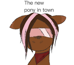 Size: 2184x1909 | Tagged: safe, artist:lil rocky road, derpibooru exclusive, oc, oc:lil%20rocky%20road, pony, series:rocky road, bandana, concept, idea, simple background, solo, sunglasses, text, white background