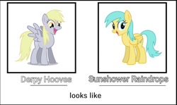 Size: 1042x622 | Tagged: safe, edit, part of a set, derpy hooves, sunshower raindrops, pegasus, pony, g4, comparison, duo, duo female, female, looking at you, open mouth, open smile, smiling, standing