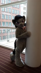 Size: 1024x1820 | Tagged: dead source, safe, artist:atalonthedeer, octavia melody, earth pony, human, pony, anthro, g4, 2015, bedroom eyes, convention, flirting, flirty pose, fursuit, hug, hugging the wall, irl, irl human, leaning, leaning forward, leaning on wall, looking at you, photo, ponysuit, pose, raised hoof, raised leg, solo