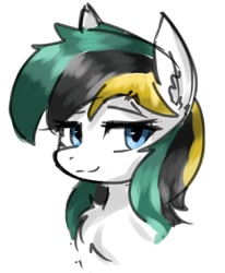 Size: 812x986 | Tagged: safe, artist:ponywar1997, oc, oc only, oc:kb·air, pegasus, pony, bust, chest fluff, looking at you, simple background, solo, white background