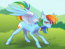 Size: 4444x3333 | Tagged: safe, artist:mammalian_alien, rainbow dash, pegasus, pony, g4, female, mare, outdoors, partially open wings, solo, standing, watermark, wings