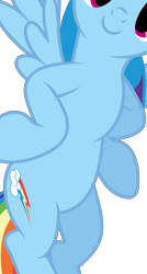 Size: 1585x2953 | Tagged: safe, artist:xpesifeindx, edit, vector edit, rainbow dash, pegasus, pony, g4, the last roundup, belly, hooves on hips, pictures of bellies, simple background, smiling, solo, transparent background, vector