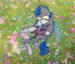 Size: 3376x2894 | Tagged: safe, artist:glumarkoj, oc, oc only, oc:blazey sketch, oc:nightfall, changeling, pegasus, pony, blue changeling, blushing, bow, changeling oc, clothes, concave belly, couple, cuddling, detailed background, duo, flower, flower field, grass, green eyes, grey fur, hair bow, high res, lying down, lying on the ground, multicolored hair, pegasus oc, smiling, sweater