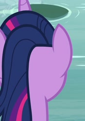 Size: 758x1080 | Tagged: safe, screencap, twilight sparkle, alicorn, pony, g4, my little pony: friendship is magic, the mean 6, back of head, cropped, solo, twilight sparkle (alicorn), water