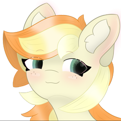 Size: 1906x1906 | Tagged: safe, artist:sodapop sprays, oc, oc only, oc:sodapop sprays, pegasus, pony, blushing, bust, ear fluff, simple background, smug, solo, transparent background