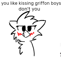 Size: 326x302 | Tagged: safe, anonymous artist, griffon, boykisser, flockmod, griffonized, meme, simple background, solo, species swap, white background