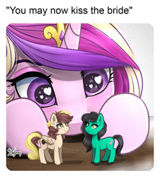 Size: 1024x1134 | Tagged: safe, alternate character, alternate version, artist:lailyren, princess cadance, oc, alicorn, earth pony, pegasus, pony, g4, commission, female, heart, heart eyes, mare, meme, now kiss, oc x oc, ponified animal photo, ponified meme, shipping, toy, wingding eyes, ych result