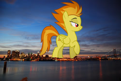 Size: 1023x685 | Tagged: safe, artist:dashiesparkle, edit, editor:jaredking779, spitfire, pegasus, pony, g4, attack on pony, female, folded wings, giant pony, giantess, highrise ponies, irl, lidded eyes, macro, mare, pennsylvania, philadelphia, photo, ponies in real life, raised hoof, red eyes, solo, story included, wings