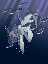 Size: 2048x2732 | Tagged: safe, artist:blue ink, oc, oc only, oc:v.piper, fish, merpony, original species, shark, shark pony, blue mane, bubble, crepuscular rays, digital art, dorsal fin, fangs, fin, fins, fish tail, high res, male, ocean, open mouth, purple eyes, shark pony oc, solo, stallion, sunlight, swimming, tail, teeth, underwater, water