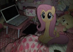 Size: 828x585 | Tagged: artist needed, source needed, safe, edit, fluttershy, pegasus, pony, g4, bed, computer, dark, irl, laptop computer, photo, plushie, ponies in real life, sanrio, sitting, sitting on bed, smiling, solo