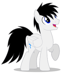 Size: 3933x4577 | Tagged: safe, artist:creedyboy124, oc, oc only, oc:shane park, pegasus, pony, g4, male, open mouth, simple background, smiling, solo, stallion, transparent background, vector