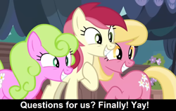 Size: 1920x1207 | Tagged: safe, screencap, daisy, flower wishes, lily, lily valley, roseluck, earth pony, pony, comic:celestia's servant interview, g4, it isn't the mane thing about you, caption, cs captions, cute, female, flower trio, grin, image macro, interview, lilybetes, mare, rosabetes, smiling, text