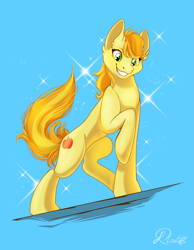 Size: 1703x2200 | Tagged: safe, artist:plout, braeburn, earth pony, pony, g4, commission, male, missing accessory, raised hoof, shading, smiling, solo, sparkles, stallion, standing, stupid sexy braeburn, tail, two toned mane, two toned tail, ych result