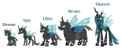 Size: 5000x1974 | Tagged: safe, artist:aleximusprime, queen chrysalis, bug pony, changeling, changeling behemoth, changeling queen, insect, flurry heart's story, g4, changeling brute, changeling drone, changeling elite, changeling spy, chonk, chunkling, concave belly, headcanon, headcanon in the description, height difference, insect wings, insectoid, physique difference, simple background, slender, tall, thin, transparent background, wings