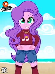 Size: 1329x1800 | Tagged: safe, artist:theminus, pipp petals, human, equestria girls, g4, g5, beach, belly button, clothes, cloud, equestria girls-ified, g5 to equestria girls, g5 to g4, generation leap, midriff, outdoors, shirt, shorts, sky, socks, solo, thigh highs, thigh socks, younger
