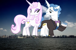 Size: 1024x680 | Tagged: safe, anonymous editor, artist:90sigma, artist:dashiesparkle, edit, fancypants, fleur-de-lis, pony, unicorn, g4, bowtie, clothes, duo, facial hair, female, giant pony, giantess, highrise ponies, irl, macro, male, manhattan, mare, monocle, moustache, new york, new york city, photo, ponies in real life, stallion, story included, tuxedo, unshorn fetlocks