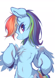 Size: 1535x2185 | Tagged: safe, artist:starbow, part of a set, rainbow dash, pegasus, pony, g4, belly, belly button, bipedal, chest fluff, colored hooves, cute, dashabetes, eyebrows, eyebrows visible through hair, female, fluffy, leg fluff, looking at you, mare, simple background, smiling, smiling at you, solo, spread wings, unshorn fetlocks, white background, wings