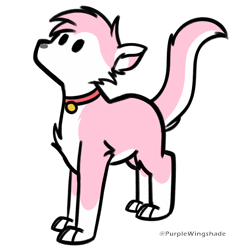 Size: 3000x3000 | Tagged: safe, artist:purple wingshade, oc, oc only, oc:ruby, cat, cat oc, cat tail, chest fluff, collar, female, high res, paws, simple background, solo, tail, transparent background
