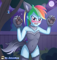 Size: 1000x1051 | Tagged: safe, artist:mr-breadman, rainbow dash, human, equestria girls, g4, animal costume, belly button, blushing, breasts, clothes, costume, cute, dashabetes, embarrassed, fangs, female, fence, full moon, fur, leotard, looking at you, midriff, moon, night, open mouth, outdoors, sky, socks, solo, stars, thigh highs, tree, wolf costume